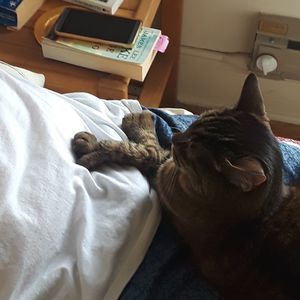 Meet your Posher, Teresa